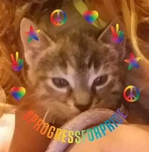 Meet your Posher, Kristina